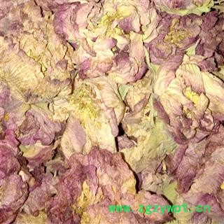 芙蓉花 精品 产地 四川省成都市双流县图3