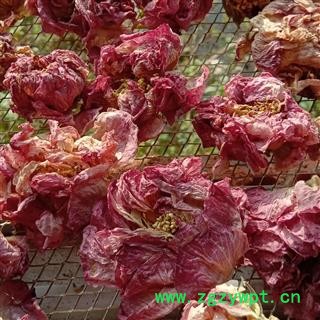 芙蓉花 精品 产地 四川省成都市双流县图4