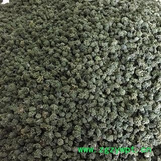 云南文山3年生三七花/田七花 产地直销图2