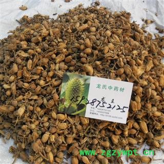 玳玳花 统 产地 四川省成都市双流县图2