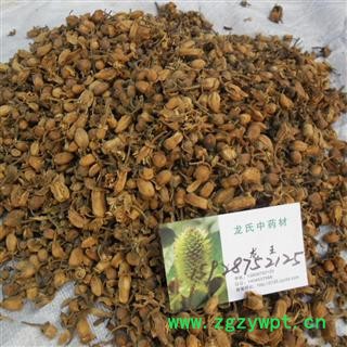 玳玳花 统 产地 四川省成都市双流县图3