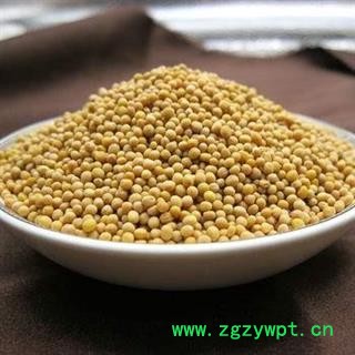 白芥子干净无杂质正品保证质量7天无理由退货退款 中药材批发 丽丽药业图3