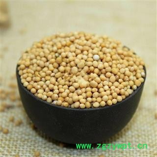 白芥子干净无杂质正品保证质量7天无理由退货退款 中药材批发 丽丽药业图4