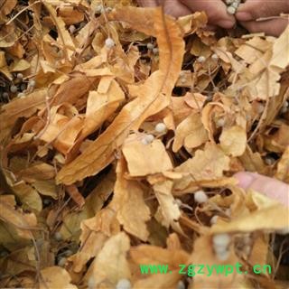 秦岭野生椴树花日晒无硫500g图3