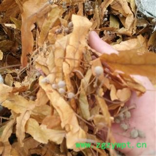 秦岭野生椴树花日晒无硫500g图2