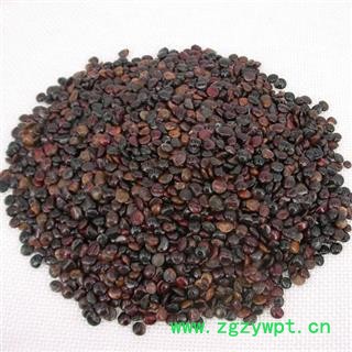 枳椇子 正品保证质量7天无理由退货退款 安品堂图4