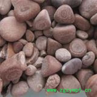 诺源药材行马宝 马结石 产地内蒙图2