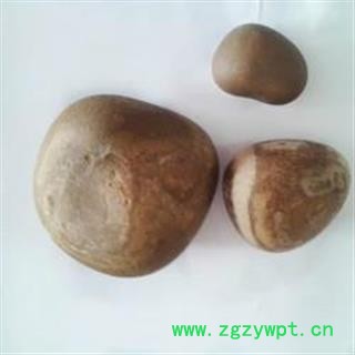 诺源药材行马宝 马结石 产地内蒙图3