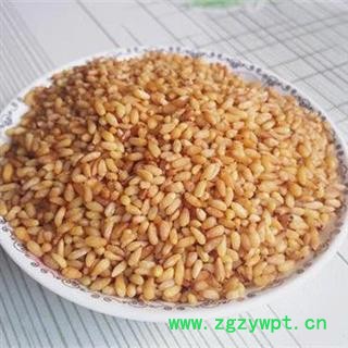 柏子仁选货正品保证质量7天无理由退货退款 安品堂图3