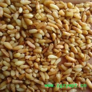 柏子仁选货正品保证质量7天无理由退货退款 安品堂图4