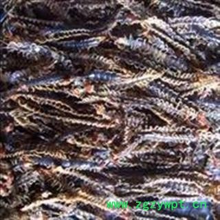 诺源药材行中药材蜈蚣皮  卷皮 直皮图3