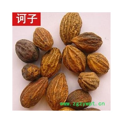 诃子 诃子统个 产地 海外 华美中药 产地直销 重在品质