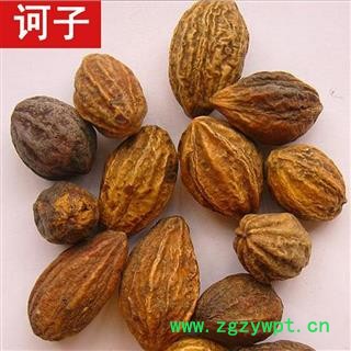 诃子 诃子统个 产地 海外 华美中药 产地直销 重在品质图2