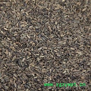 牛子 牛蒡子 川牛蒡子净货 产地 四川 华美中药 产地直销 重在品质图2