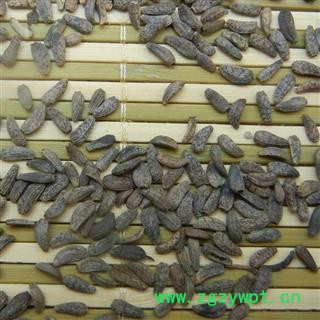 牛子 牛蒡子 川牛蒡子净货 产地 四川 华美中药 产地直销 重在品质图3