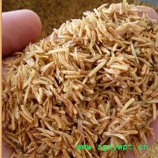 安祁名药正品五谷虫  蛆 水仙子图2