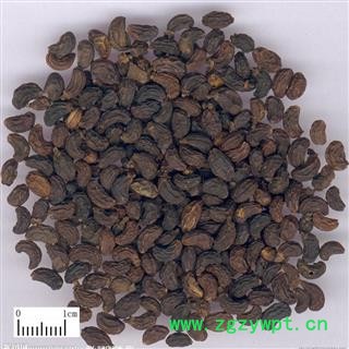 女贞子 女贞子腰果净货 产地 山西 华美中药 产地直销 重在品质图3