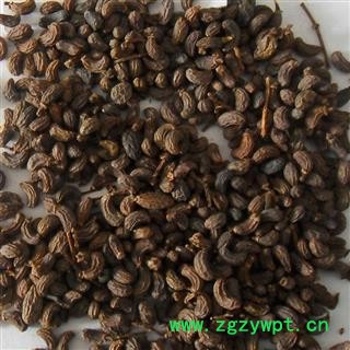 女贞子 女贞子腰果净货 产地 山西 华美中药 产地直销 重在品质图2