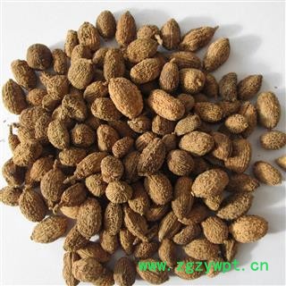 砂仁@【华美中药】中药材批发供应【砂仁】图3
