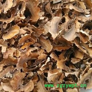 分心木 统 产地 山东省  华美中药   产地直销 重在品质图3