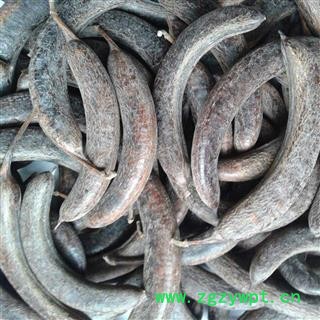 猪牙皂 统 产地 山东省  华美中药 产地直销 重在品质图2