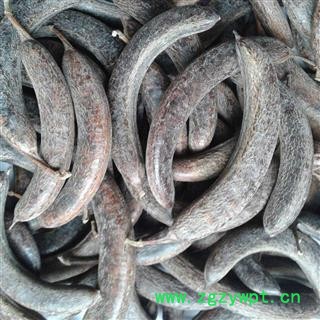 猪牙皂 统 产地 山东省  华美中药 产地直销 重在品质图4