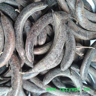 猪牙皂 统 产地 山东省  华美中药 产地直销 重在品质图3