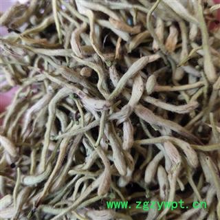 金银花 金银花  白花  选 货 关书药业专注品质 批发各种中药材 产地 河北省保定市清苑县图2