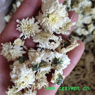 贡菊花 贡菊新货颜色好   茶用 产地 安徽省芜湖市图3