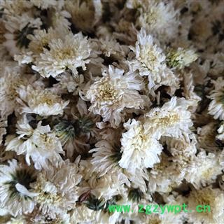 贡菊花 贡菊新货颜色好   茶用 产地 安徽省芜湖市图2