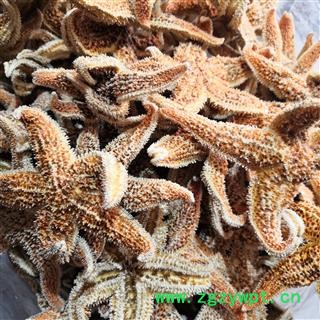 安祁名药海星 统 产地 广东省图2