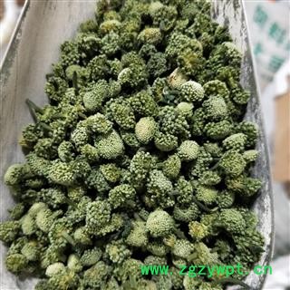 三七花 三年生三七花中选货 产地 云南省文山壮族苗族自治州图2