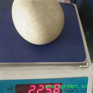 安祁名药正品马宝  另有猴枣 牛黄图2