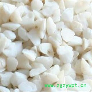 安祁名药中药材鱼脑石 大鱼脑石图2