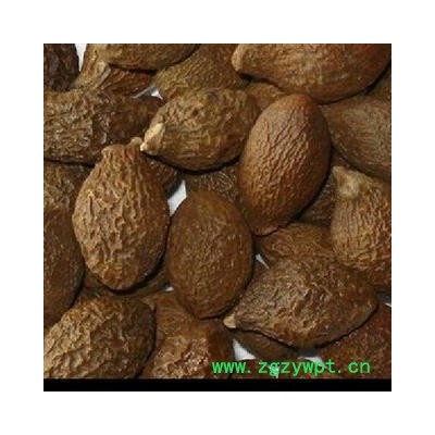 大海 胖大海长果大颗粒  产地 海外