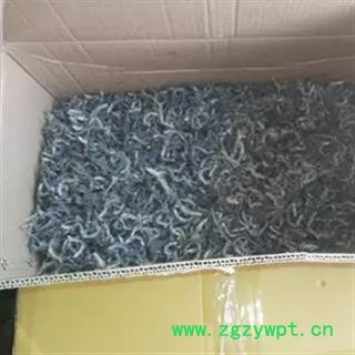 安祁名药正品蜥蜴 四脚蛇  非石龙子图3