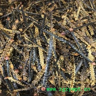 安祁名药蜈蚣 蜈蚣皮图2