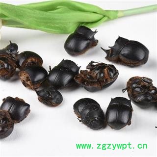 秦岭优质大将军 蜣螂 屎壳郎 手工挑选 干净500g图2