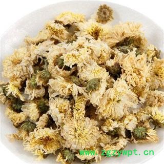 小丽百草行七月菊 七月花 今年新货 库存1000公斤 实体店有售图2