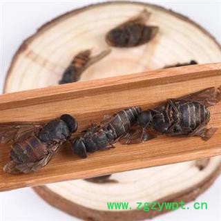 【精选】中药材秦岭地产牛虻日晒无硫500g图3