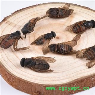 【精选】中药材秦岭地产牛虻日晒无硫500g图2