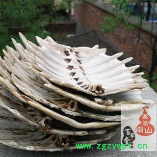 【整个】甲鱼壳 秦岭山区水库散养不投料 无激素 龟背壳 龟板  团鱼甲 500图3