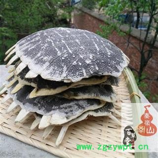 【整个】甲鱼壳 秦岭山区水库散养不投料 无激素 龟背壳 龟板  团鱼甲 500图2