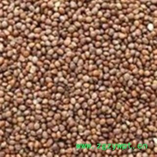 苏子 干净苏子 产地 山东省图2