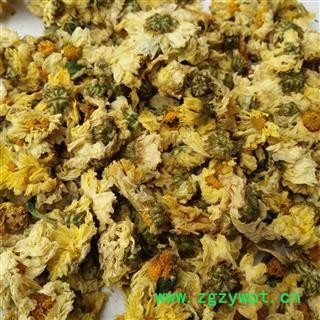 小丽百草行杭白菊 新货颜色好图2