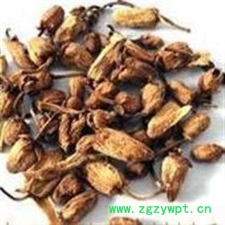 小丽参茸行  佛手花 佛柑花图2