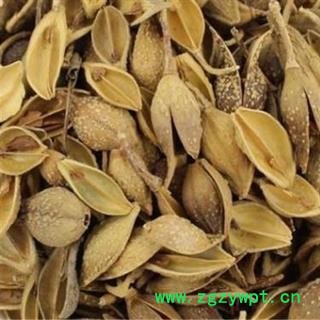 黄翘  老翘（黄翘）选货 过0.6筛以上  产地 山西省图2