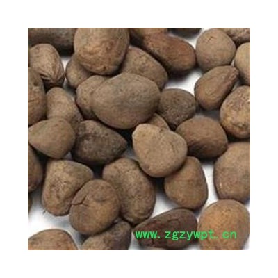 大风子 统货  买货认准福康万家 质量有保证 产地 广西壮族自治区