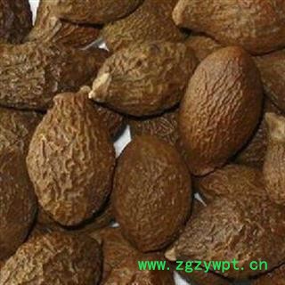 胖大海 胖大海圆粒统货 青色果 今年新货 干度好 可直接泡茶 产地 海外图2