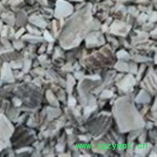 瓦楞子 生瓦楞子 产地 山东省图2